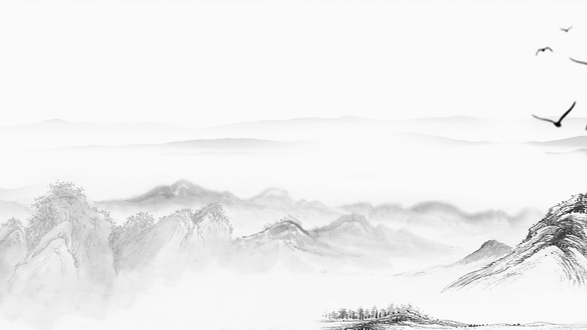 公司简介